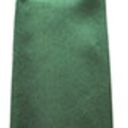 foulard satine service. satin de polyester tisse brillant. dimensions 140 x 25 cm - vert