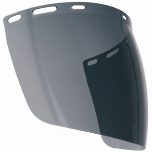 LARGE ÉCRAN DE PROTECTION SPHÉRIQUE EN POLYCARBONATE TEINTÉ - TRAITÉ ANTIBUÉE
