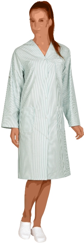 BLOUSE LISA PRESSIONS MANCHES TRANSFORMABLES. RAYE 65% POLYESTER / 35% COTON. T36/38 A 60/62 - VERT NIL