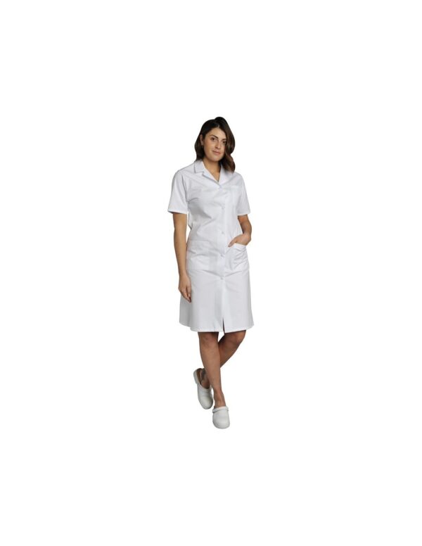 BLOUSE MADONA. PRESSIONS MANCHES COURTES. UNI POLYESTER / COTON. T0 (36/38) à 6 (60/62) - BLANC