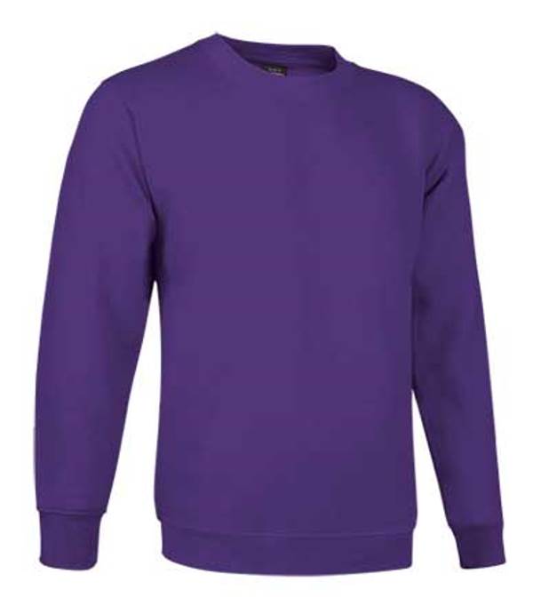 SWEAT HOMME 300 COL ROND DUBLIN. 50% COTON / 50% POLYESTER, 300 G/M². TS À XXL - VIOLET INDIGO